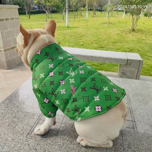 LV Luxury Zipper Lit Jacket