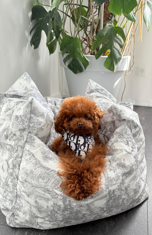 DD  Dog Car Rawcut Seat