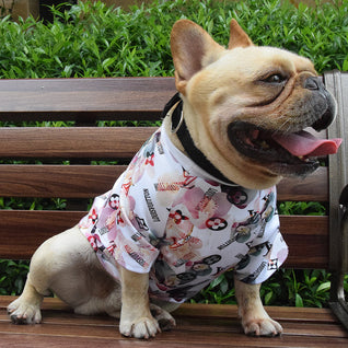 🏋️ Dear Doggo Sweatshirt - Premium Quality Dog Accessories