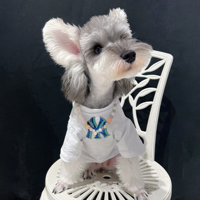 Cool Vibes Matching Clothes