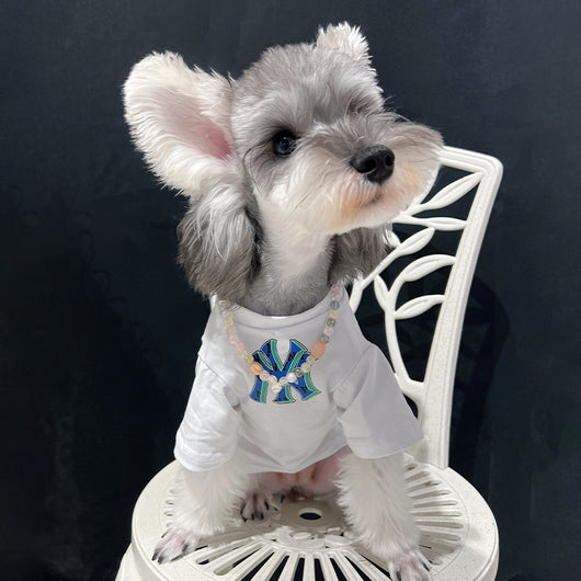 Cool Vibes Matching Clothes