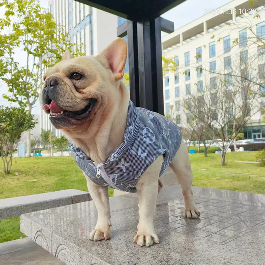 LV Monogram Denim Winter OG Jacket