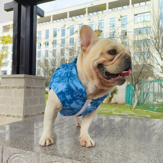 LV Blue Monogram Winter Flash Jacket