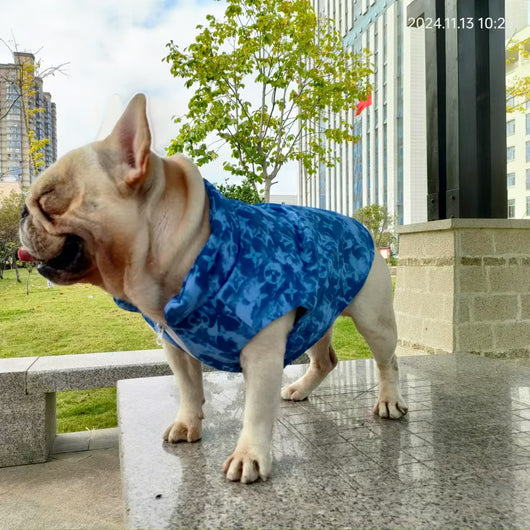 LV Blue Monogram Winter Flash Jacket