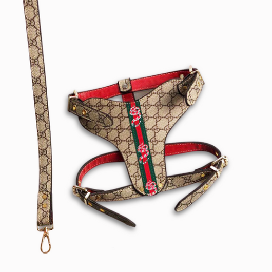 GG Hero Classic Harness& Leash Layered Set