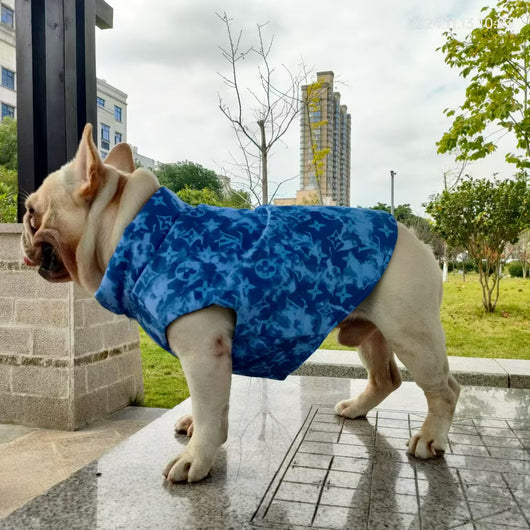 LV Blue Monogram Winter Flash Jacket