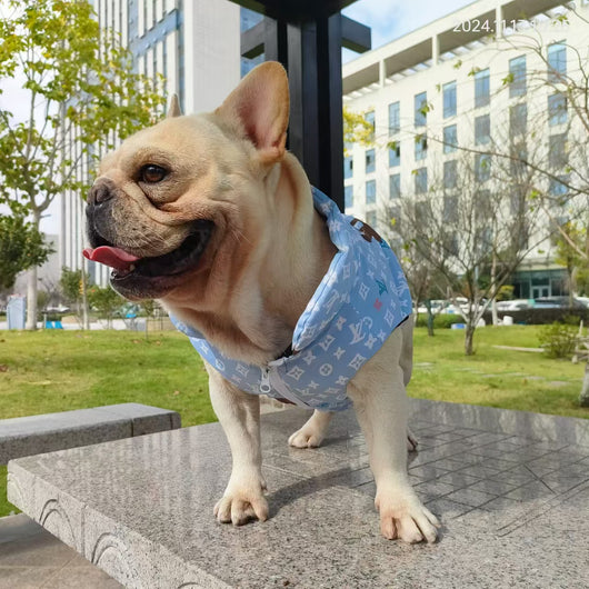 LV Designer Denim Wavy Jacket