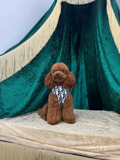 DD  Harness & Leash Clean Set