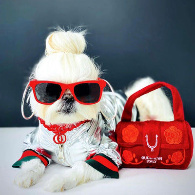 Classic Designer Doggo Posh Jacket