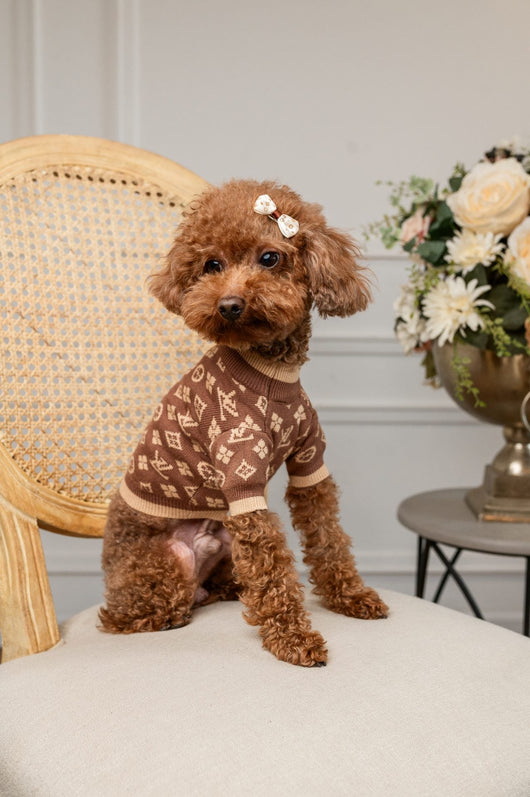 The Luxe Knit Vibrant Sweater