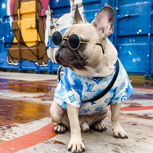 Summer Water Color DD Tshirt