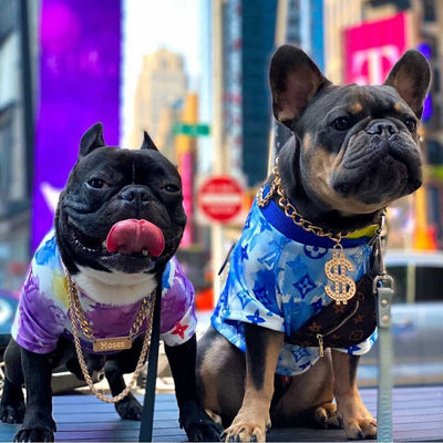 Summer Water Color DD Tshirt