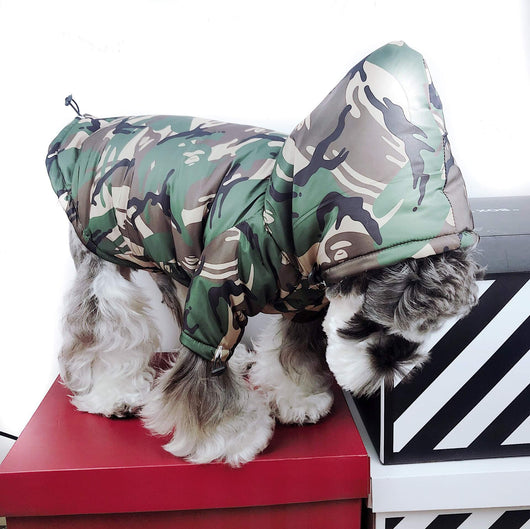 Pfrench Bulldog Dog Jackets For Winter