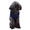 American Flag Dog Heritage Clothes