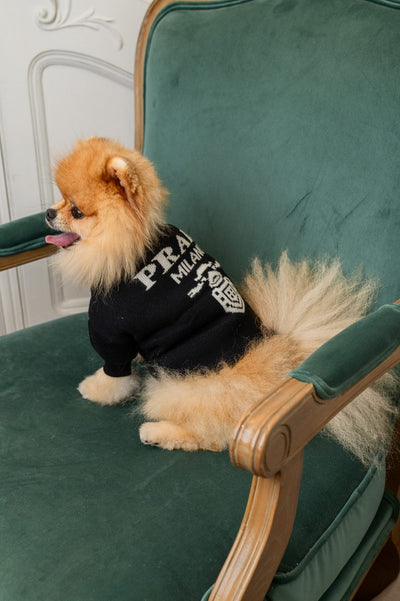 Prada Classic Sleek Sweater