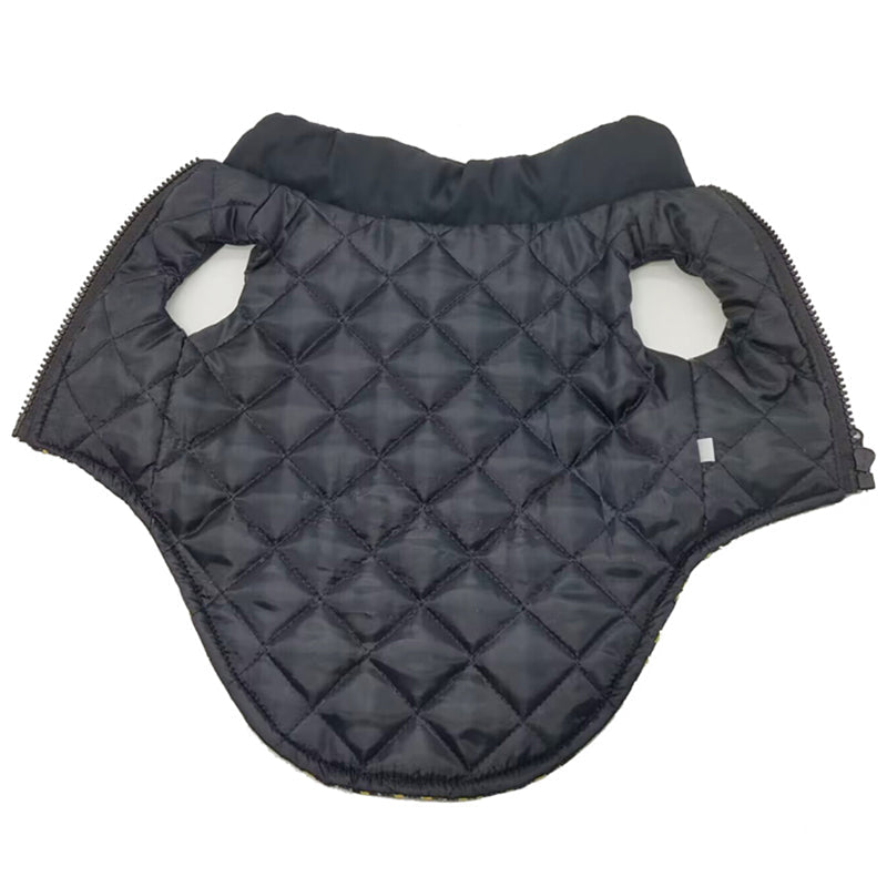 🧥 Spring Time Stunting Jacket — front view