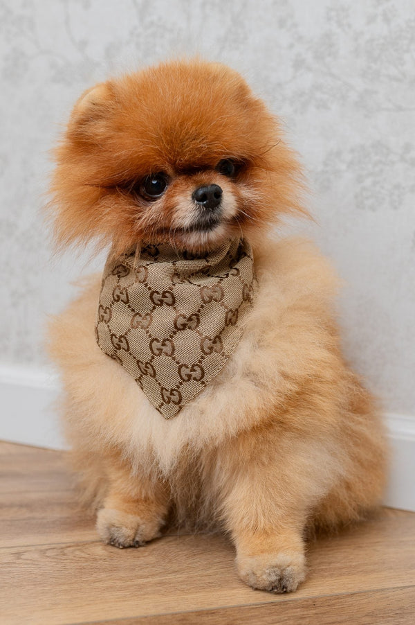 Scarf Giogio Unseen Brown