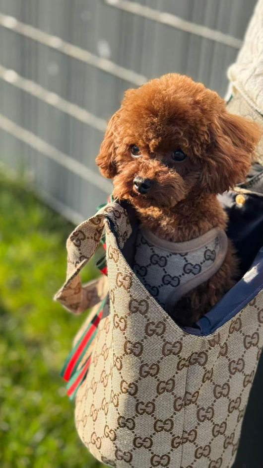 GG Carrier Unseen Bag