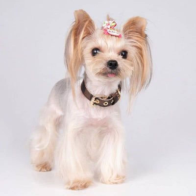 Olivia Collar & Leash Dreamy Set