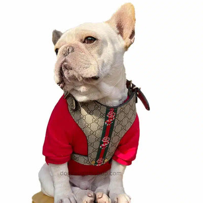 GG Hero Classic Harness& Leash Layered Set