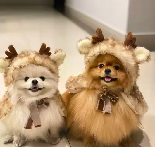 Sweety Reindeer Dope Cape