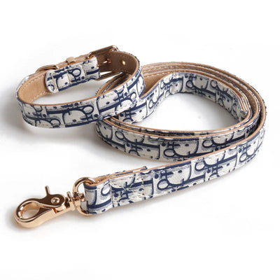Donato Collar & Leash Dope Set