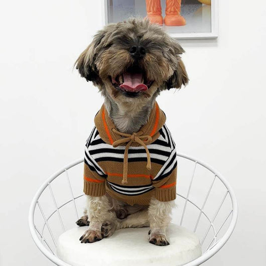 Happy Hoodie For Dogs