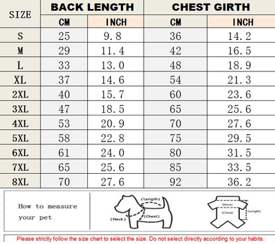 Big Dog Fresh Sweater