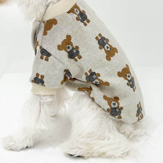 Big Dog Fresh Sweater