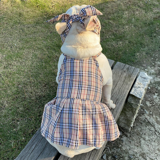 High Quality Dog Dusty Dress