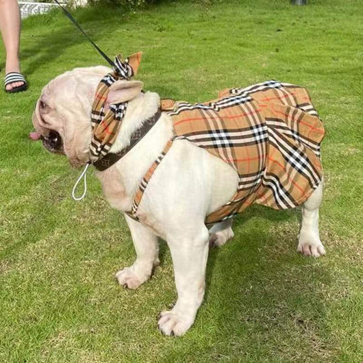 High Quality Dog Dusty Dress