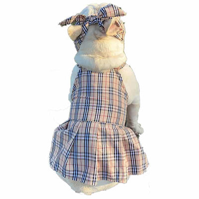 High Quality Dog Dusty Dress