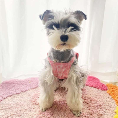 Dogs Summer Feel Tank Top