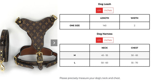 LV Hero Harness & Leash Edgy Set
