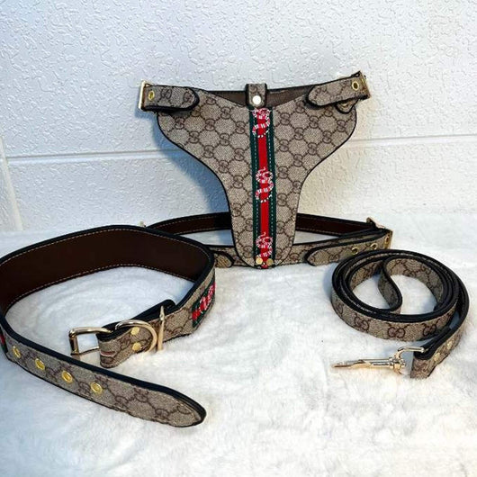 GG Hero Classic Harness& Leash Layered Set