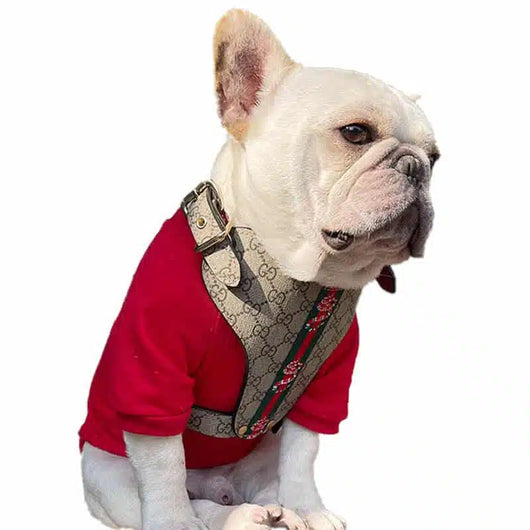 GG Hero Classic Harness& Leash Layered Set