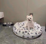 🛏️ Chany Dope Bed
