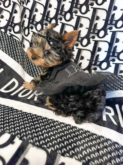 DD Crystal Tutu Posh Dress