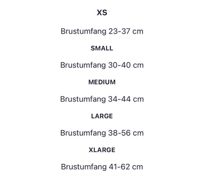 GG Harness & Leash Fire Set