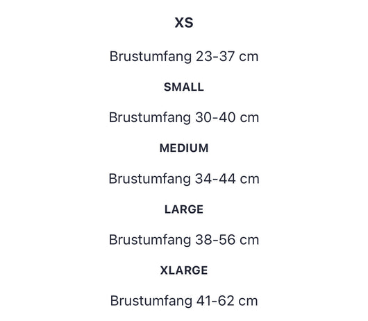 GG Harness & Leash Fire Set