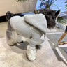 Grey Dog Sweaters With Timeless Hoody