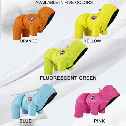 Stylish Dog Jumpsuit Redux Legs