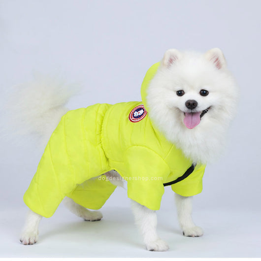 Stylish Dog Jumpsuit Redux Legs