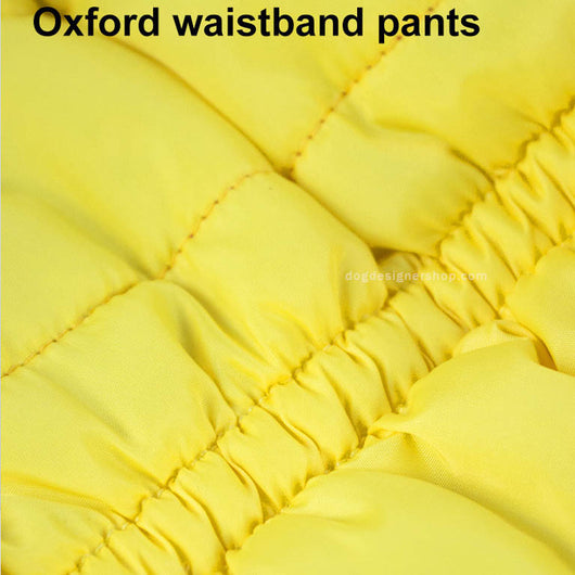 Stylish Dog Jumpsuit Redux Legs