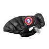 Black Dog Down Jacket Posh Vest
