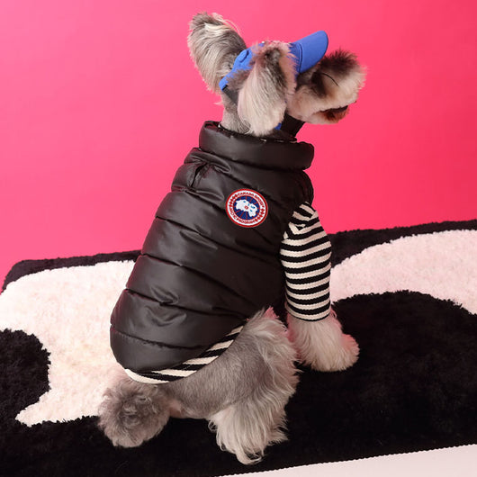 Black Dog Down Jacket Posh Vest