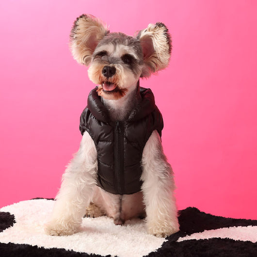 Black Dog Down Jacket Posh Vest