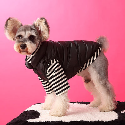 Black Dog Down Jacket Posh Vest