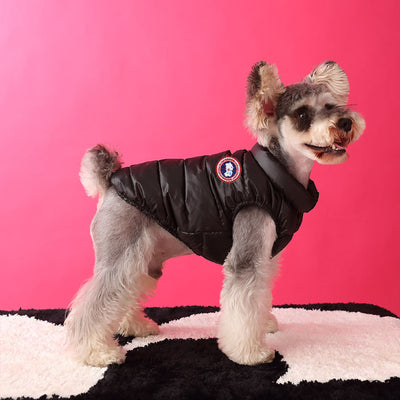 Black Dog Down Jacket Posh Vest