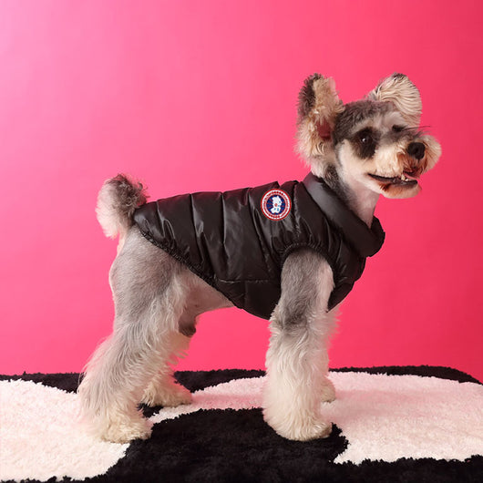 Black Dog Down Jacket Posh Vest